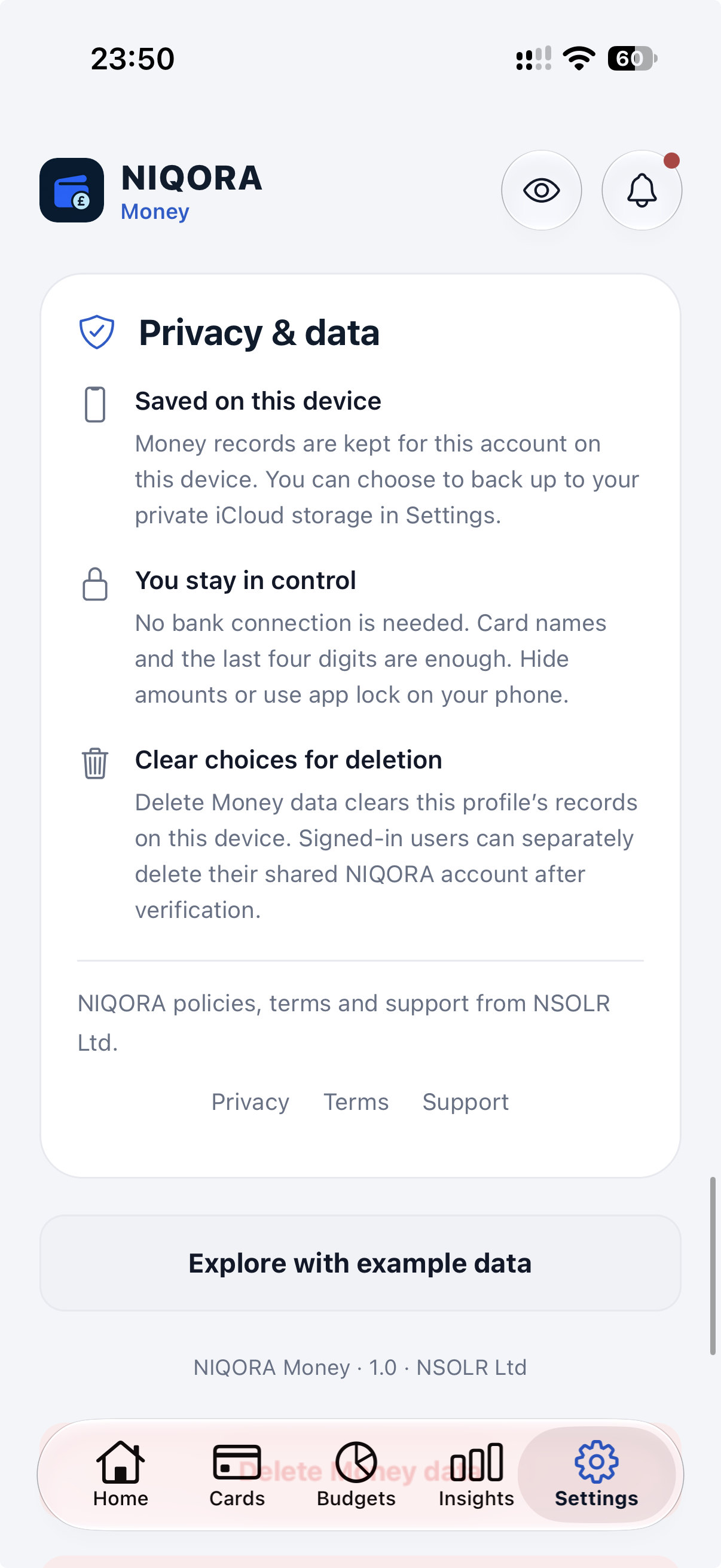 NIQORA Money privacy screen with example data
